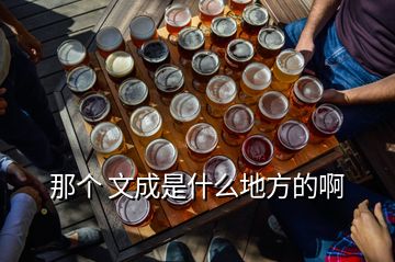 那個 文成是什么地方的啊