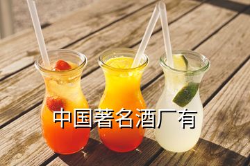 中國(guó)著名酒廠有