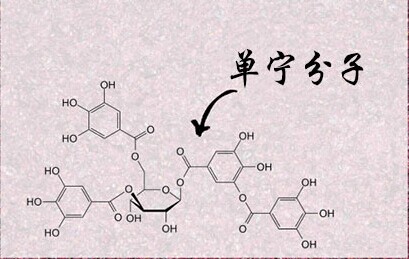 紅酒單寧是什么意思？不同紅酒中的單寧含量是多少？