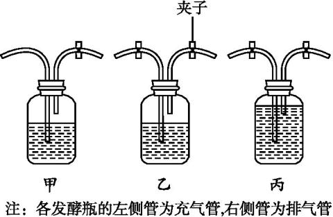 果酒制作為什么要排氣