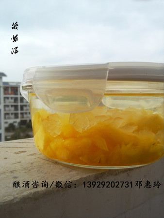 菠蘿蜜酒怎么泡(菠蘿蜜酒怎么做)