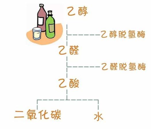 
為什么喝葡萄酒會過敏呢,為什么喝有些葡萄酒會過敏