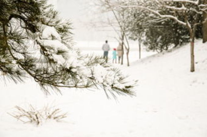 雪熊純鮮怎么打開(關(guān)于雪)