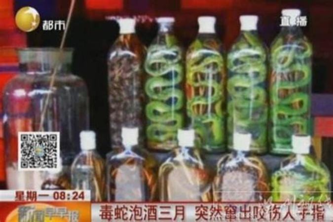 什么蛇泡酒好,蛇泡酒有什么功效