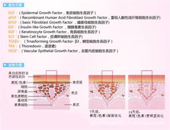 法餐怎么點(diǎn)酒,很多人愛(ài)吃浪漫的法餐