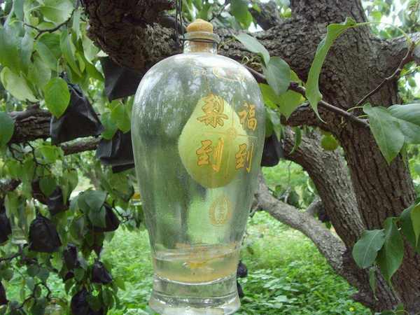 永不分梨2個(gè)梨的多少錢(qián)(永不分梨多少錢(qián)一箱)